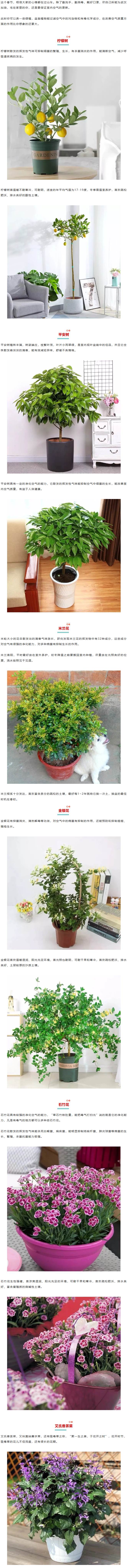 火狐截图_2020-02-22T02-03-20.836Z.jpg