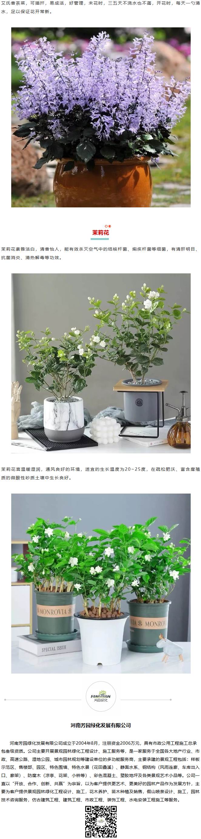 火狐截图_2020-02-22T02-06-59.036Z.jpg